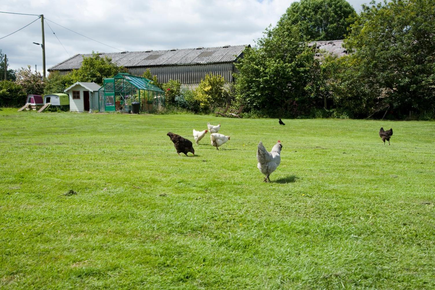 Padley Farm Daire Bradfield Dış mekan fotoğraf
