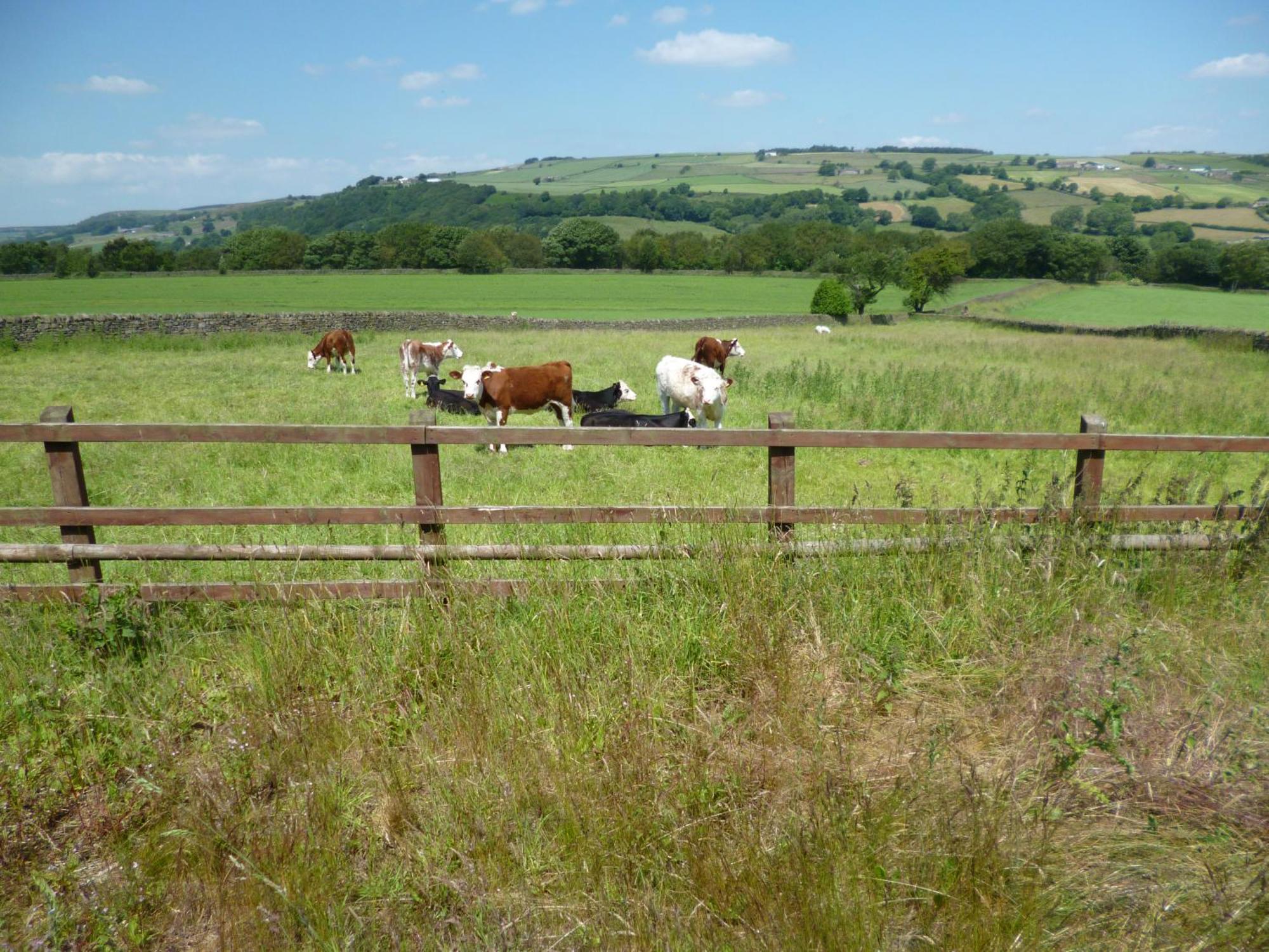 Padley Farm Daire Bradfield Dış mekan fotoğraf
