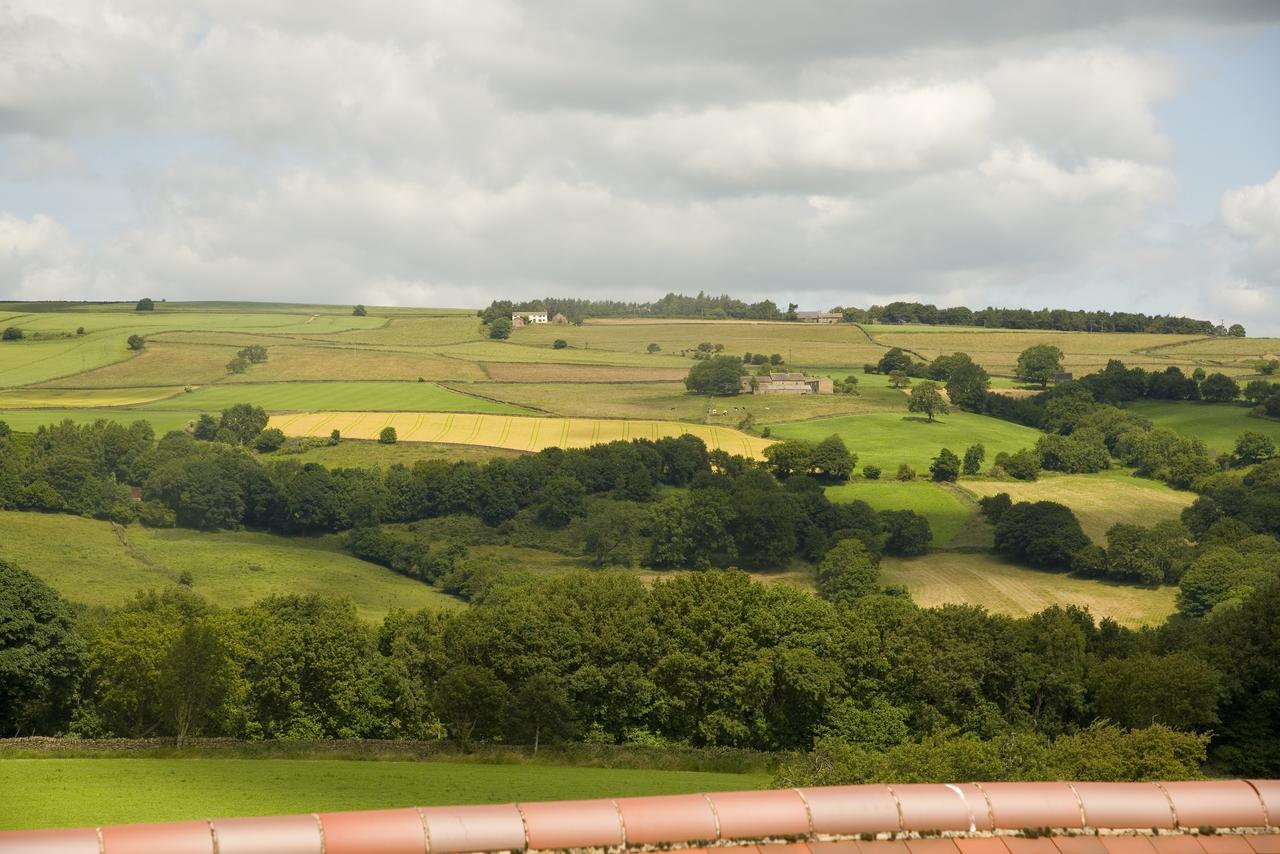 Padley Farm Daire Bradfield Dış mekan fotoğraf